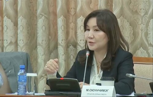 Эмийн бизнесээр 800 тэрбум төгрөг эргэлдүүлж байгаа хүмүүс том байна, дарамталж байна